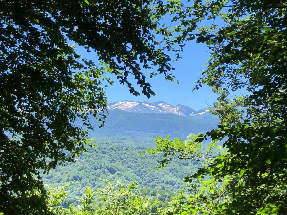 Fenêtre sur les Pyrénées Soulan  Extérieur photo